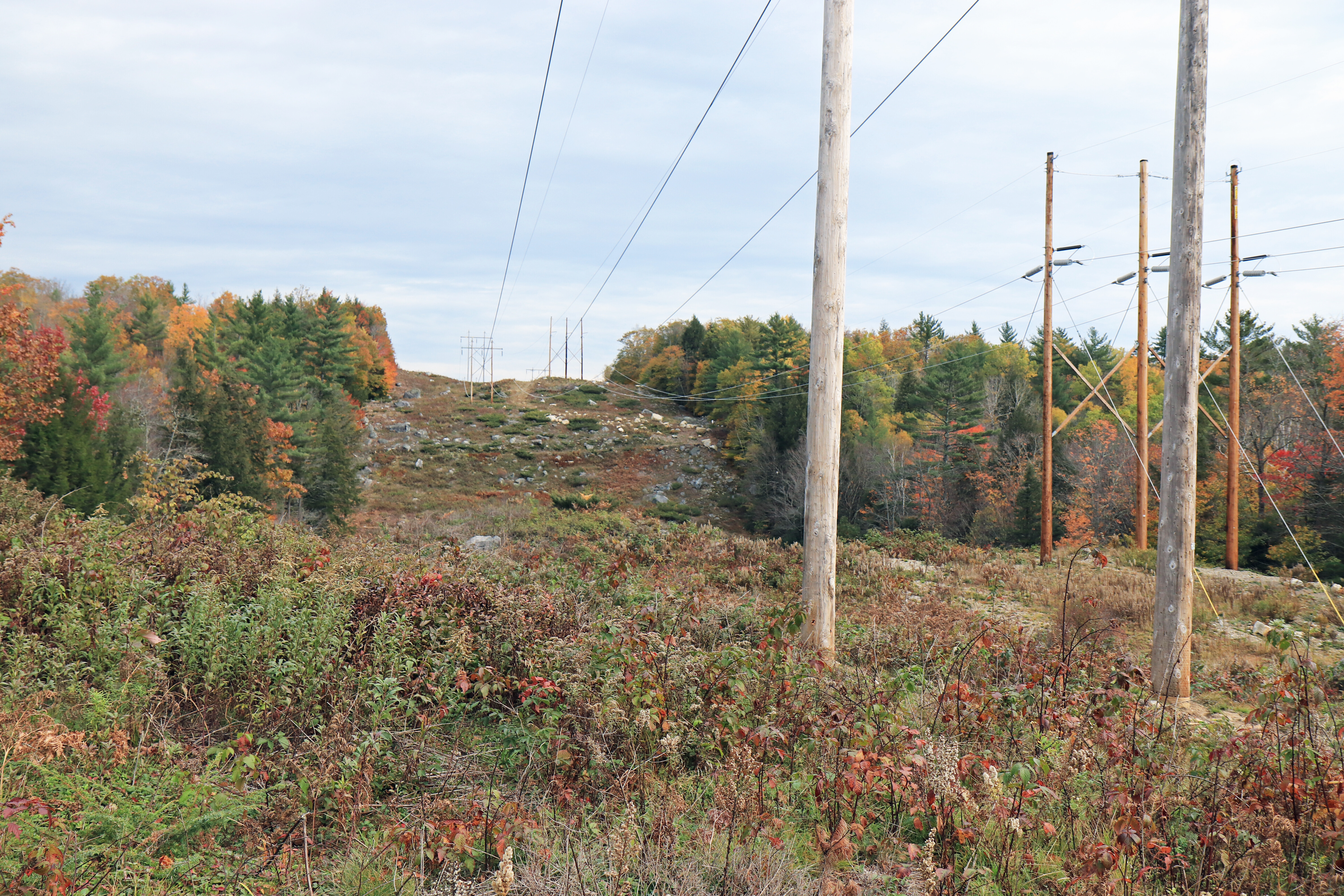 Mahoosuc Land Trust