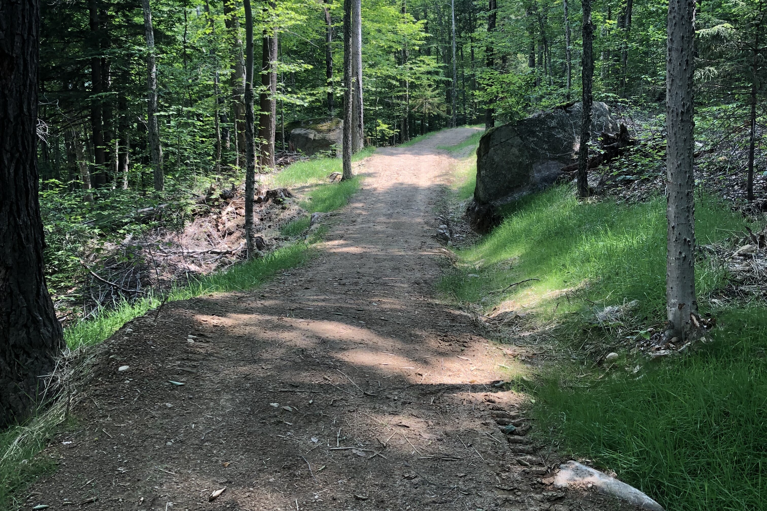 Loon MTB Trails