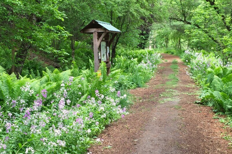 Mink Brook Conservation